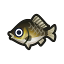 あつ森 魚