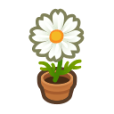 あつ森 アイテム