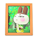 ゲンジのしゃしん