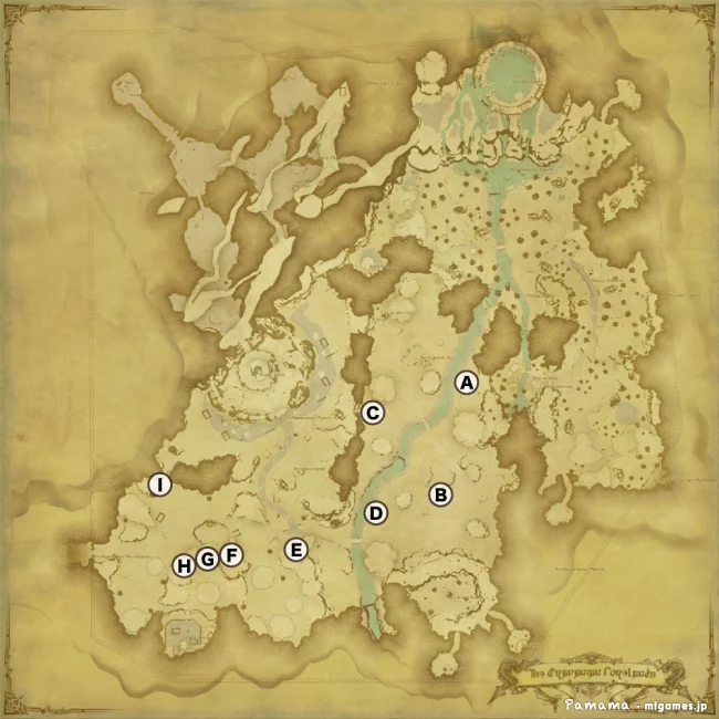 FF14 宝の地図 G8