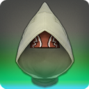 Filibuster's Hood of Healing
