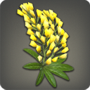 Yellow Lupin Corsage