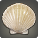 Glass Scallop