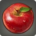 Connoisseur's Miracle Apple