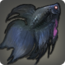 Thief Betta