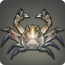 Thaliak Crab