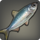 Platinum Herring
