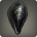 Sirensong Mussel