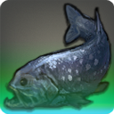 Sunken Coelacanth