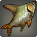 Meteorfish