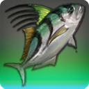 Cieldalaes Roosterfish