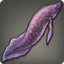 ハジケハイギョ