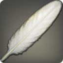 Cock Feather