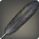 Crow Feather