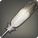 Eagle Feather