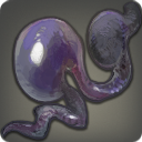 Jellyfish Cnida