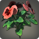 草原の紅花