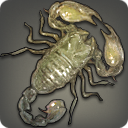 Splendid Scorpion