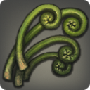 Splendid Stalk