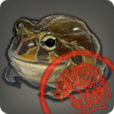 Approved Grade 3 Skybuilders' Toad