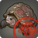 Approved Grade 4 Skybuilders' Tortoise
