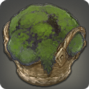 Moss-covered Rock