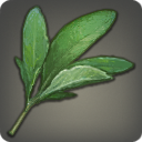 Aether-infused Foliage