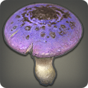 Mushroom of Living Light