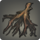 Calamus Root