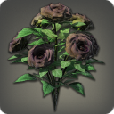 Black Oldroses
