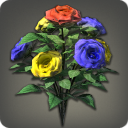 Rainbow Oldroses