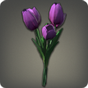 Purple Tulips
