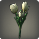 White Tulips
