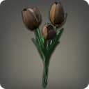 Black Tulips
