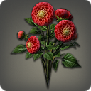 Red Dahlias