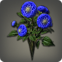 Blue Dahlias