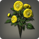 Yellow Dahlias