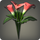 Red Arums