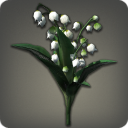 White Lilies of the Valley