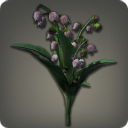 Black Lilies of the Valley