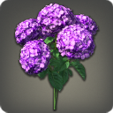 Purple Hydrangeas