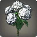 White Hydrangeas