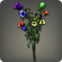 Rainbow Campanulas