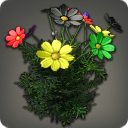 Rainbow Cosmos