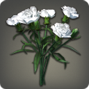 White Carnations