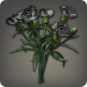 Black Carnations