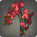 Red Moth Orchids