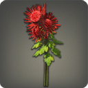 Red Chrysanthemums
