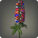 Rainbow Lupins