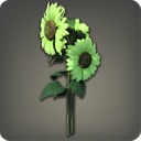Green Sunflowers